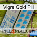 Vigra Gold Pill new15